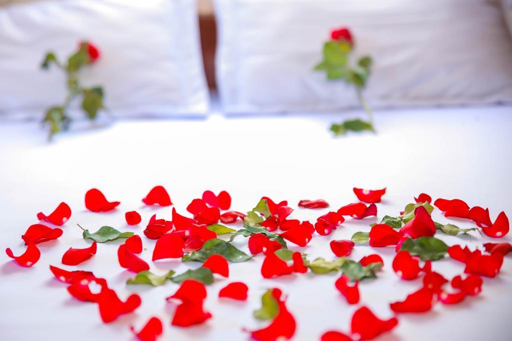 Thanh Linh Hotel 퀴논 객실 사진